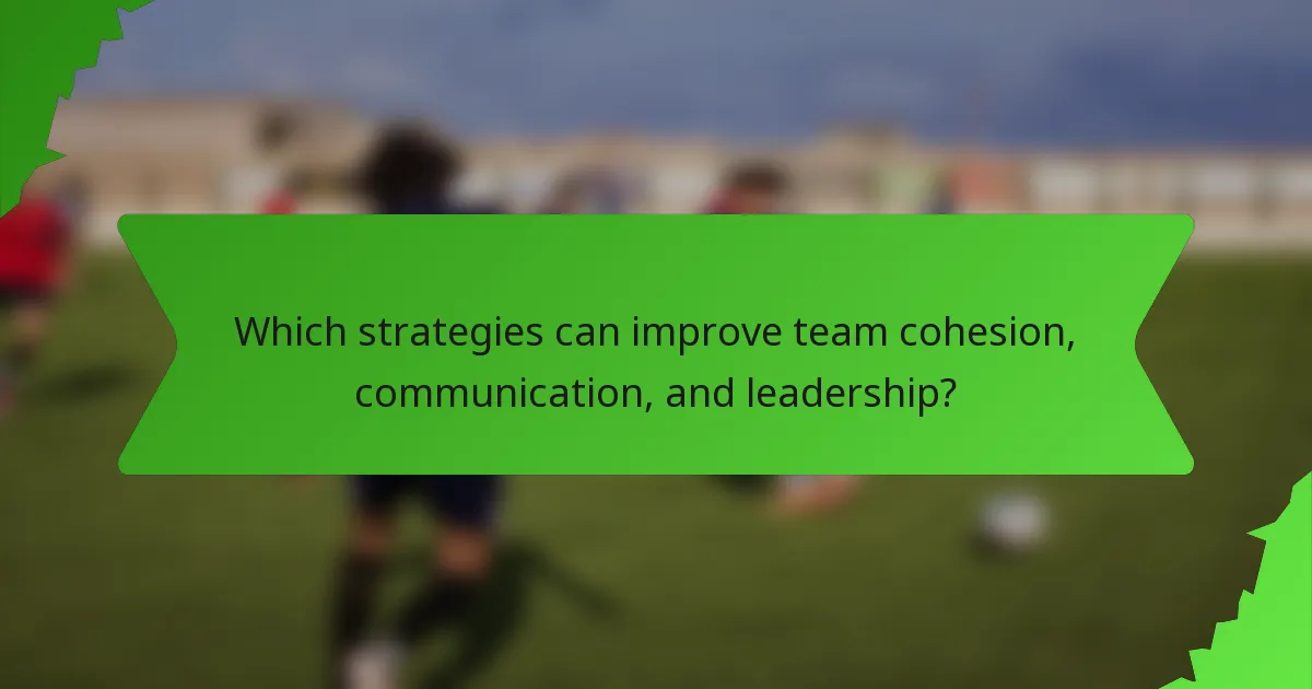 Which strategies can improve team cohesion, communication, and leadership?